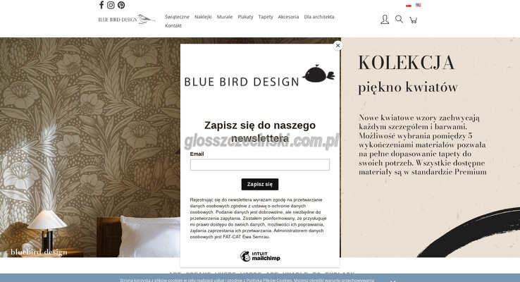 Bluebird Design